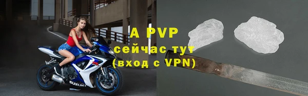 гидра Козловка