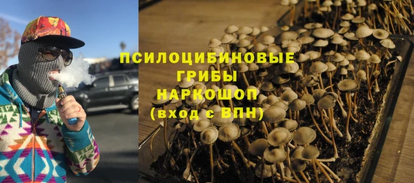 гидра Козловка
