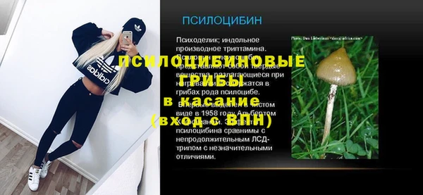 ECSTASY Кодинск
