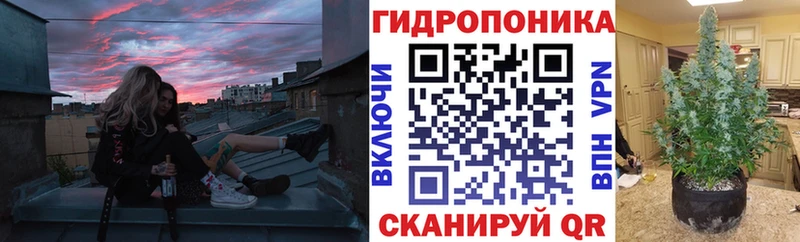 Шишки марихуана план  Купить закладки  Емва 